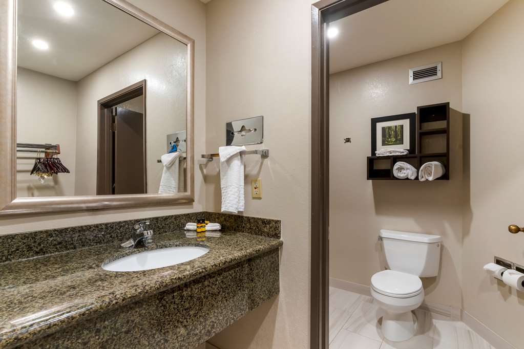 Best Western Plus Forest Park Inn - photo 58