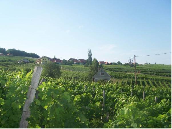 Gästehaus Camping Weinhof Radl — Kloech — photo 5