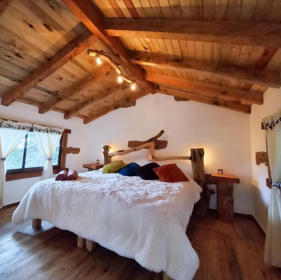 Cedro L - carbon neutral hotel in Unknown City