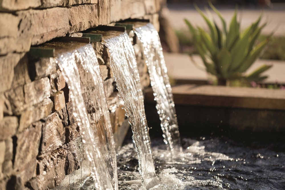 The Ritz Carlton Rancho Mirage - photo 42