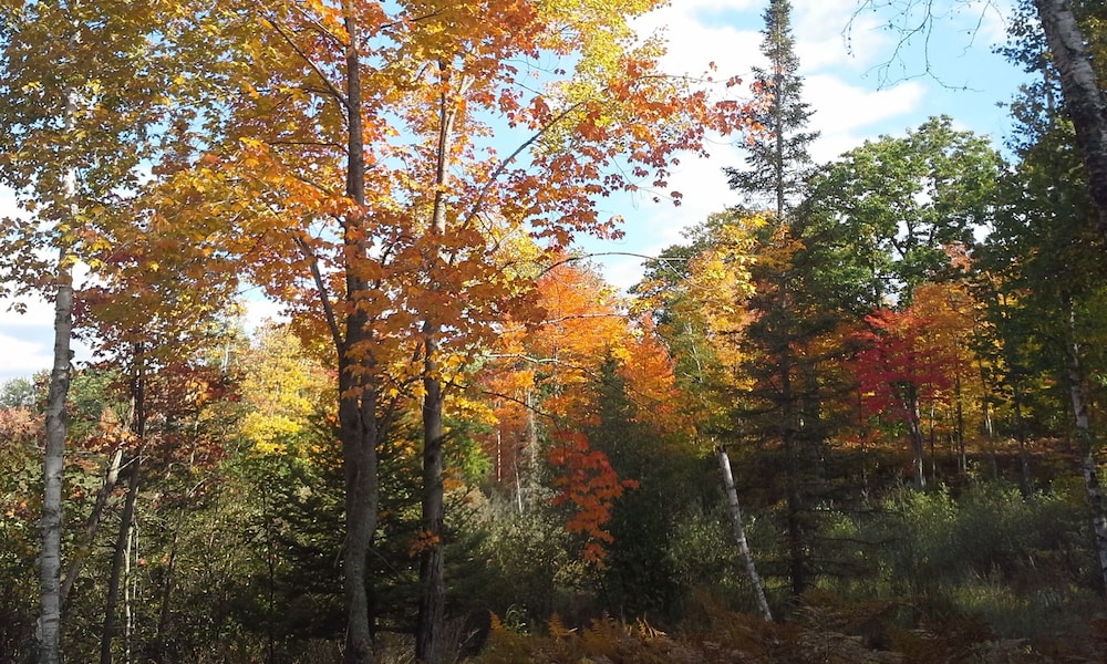 Chicaugon Lake Inn - photo 39