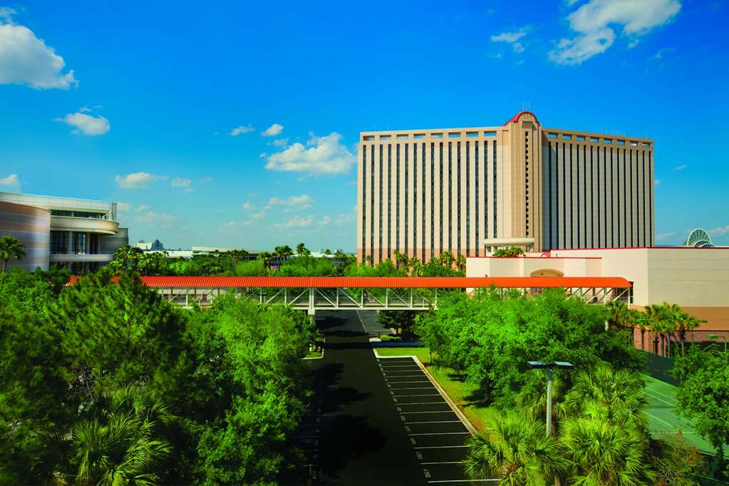 Rosen Centre Hotel - photo 56