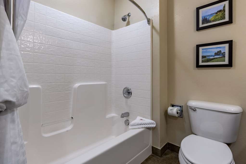Comfort Inn & Suites Ukiah Mendocino County - photo 34