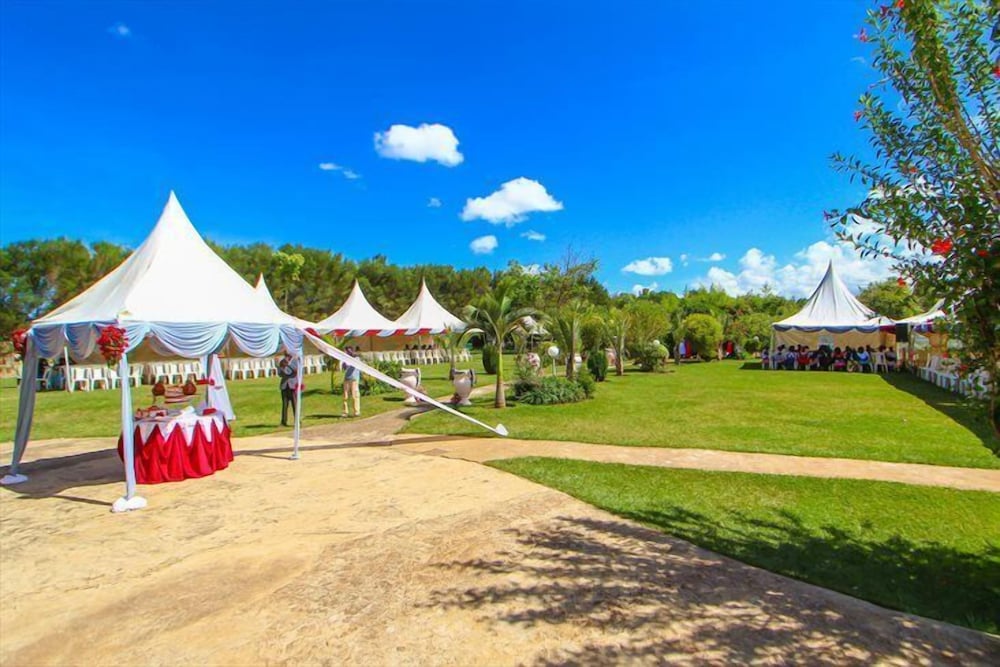 Outdoor wedding area