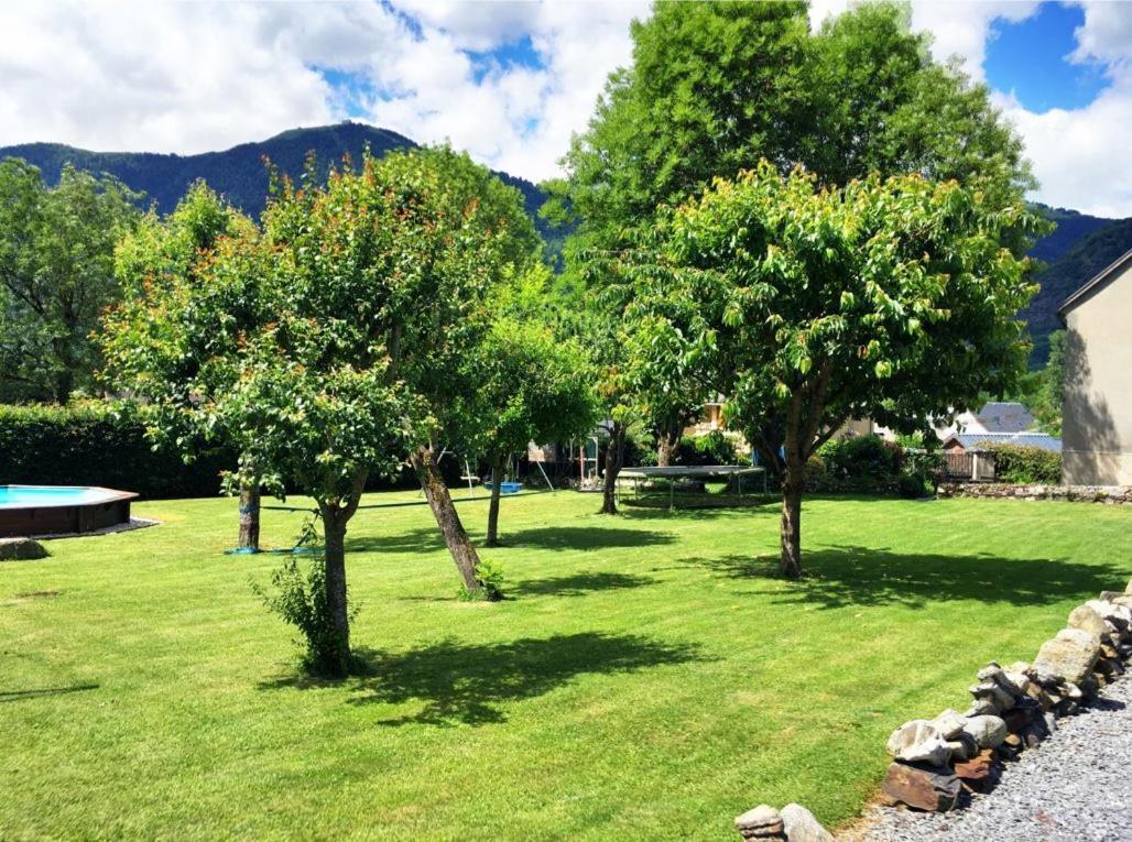 Papilio in Bagneres-De-Luchon, France