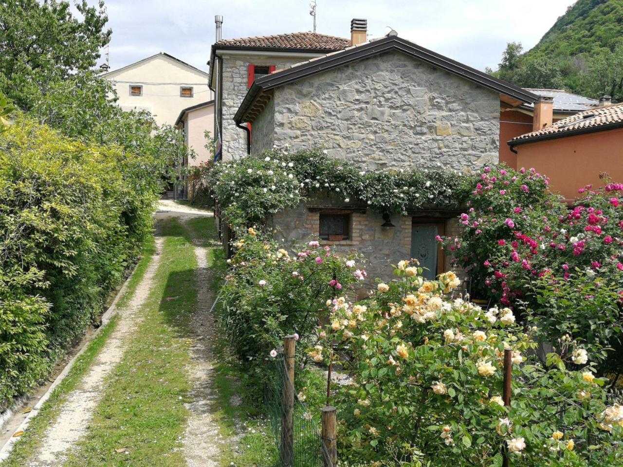 Ca di Minu — Tarzo — photo 5
