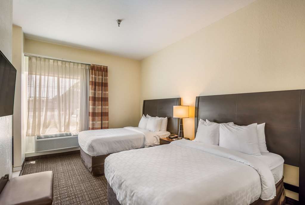 Clarion Inn & Suites Central Clearwater Beach - photo 39
