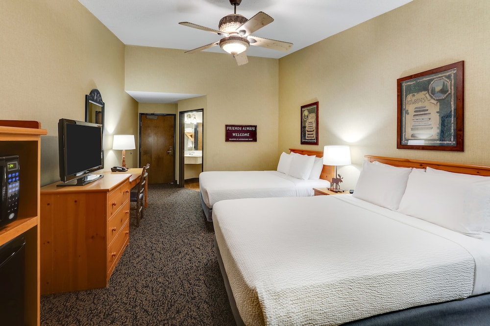 Stoney Creek Hotel Quad Cities Moline - photo 10