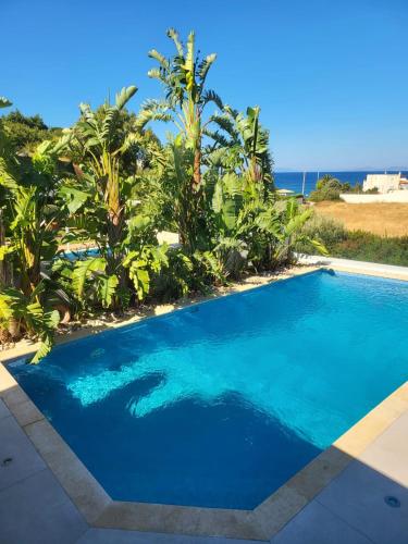 Villa Solaris — 4-Star Luxury Hotel in Anavyssos, Greece