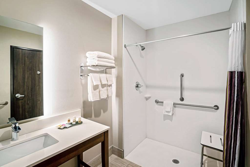 La Quinta Inn & Suites by Wyndham Tuscaloosa University - photo 13