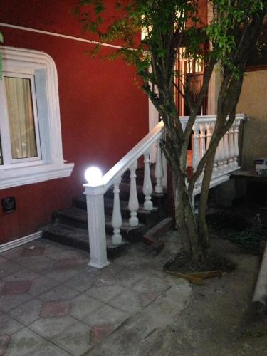 Apartment Sofi