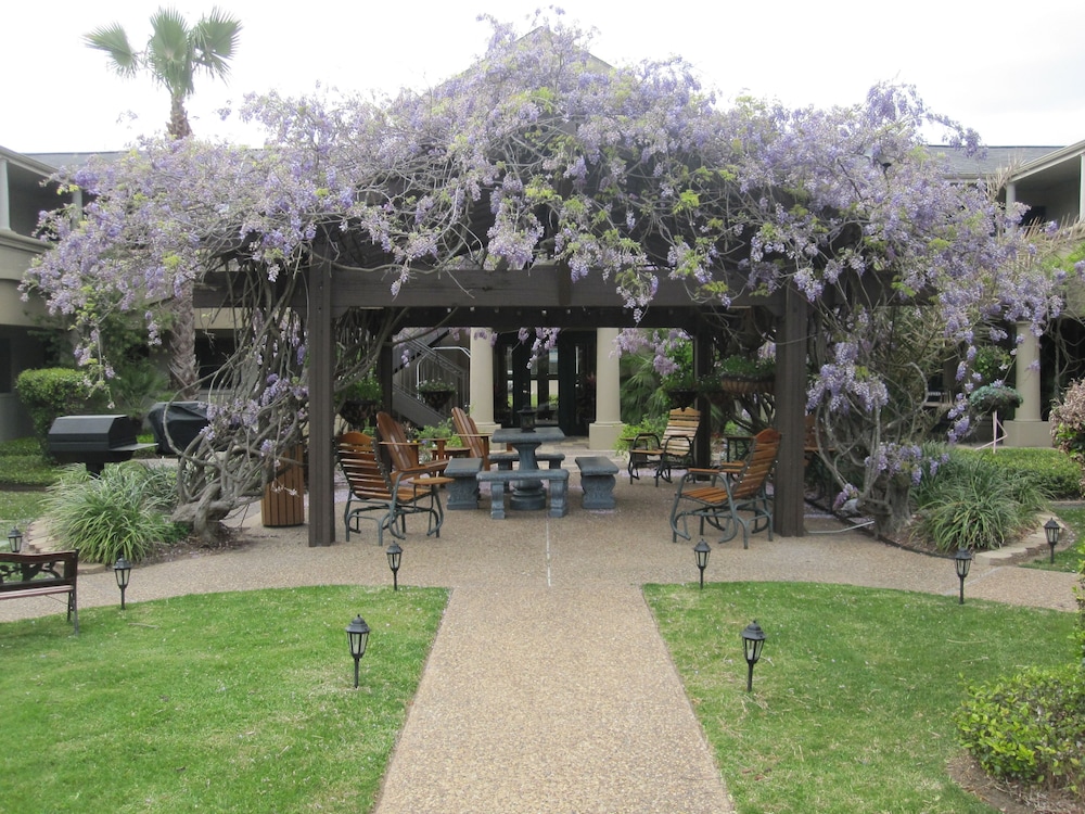 Vineyard Court Designer Suites Hotel - photo 34