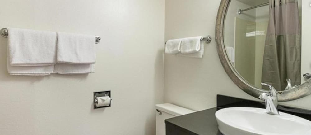 Motel 6 Columbus OH Quarter Horse - photo 6