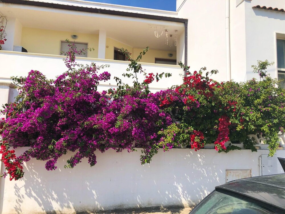 Salento Casa Vacanza Il Focolare 17895020 — Torchiarolo