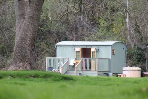 Kingfisher — Chirk — photo 2