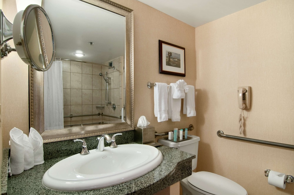 Hilton New Orleans Airport - photo 17