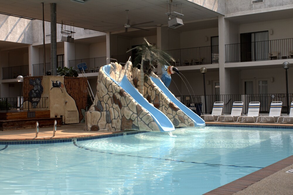 Adventureland Inn - photo 7
