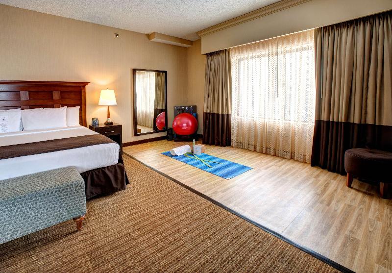 DoubleTree by Hilton Chicago O'Hare Airport Rosemont - photo 44