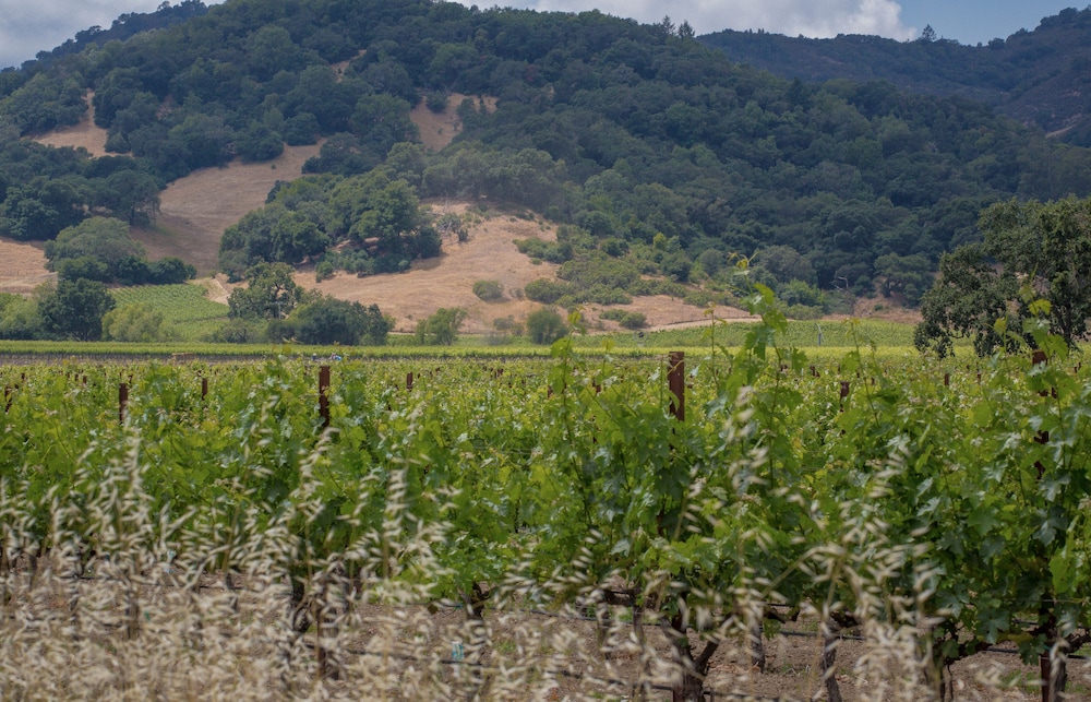The Setting Inn Napa Valley - photo 78