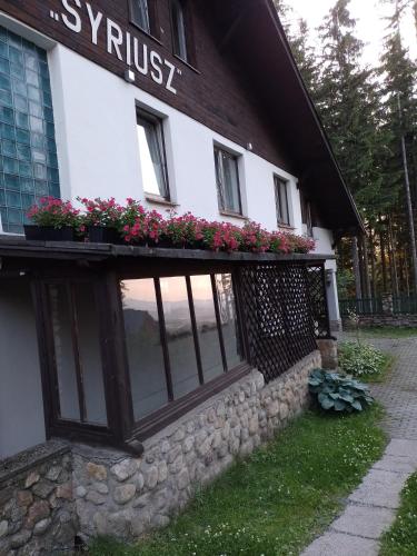 Pensjonat Syriusz - last minute hotel in Karpacz