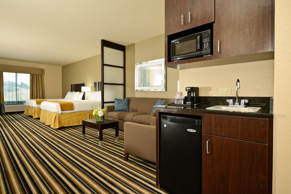 Holiday Inn Express & Suites Forrest City by IHG - photo 3