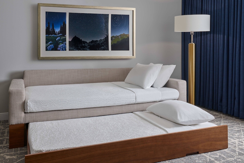 SpringHill Suites by Marriott Denver Downtown - photo 8