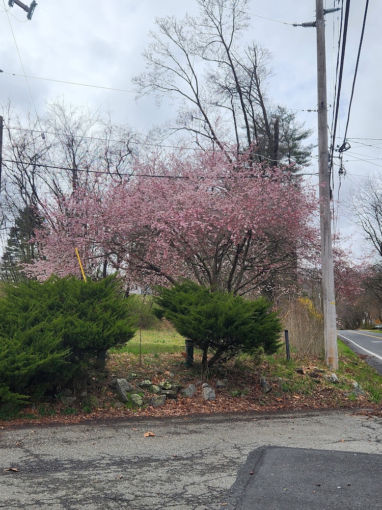 Glenwood Inn Stroudsburg - photo 43