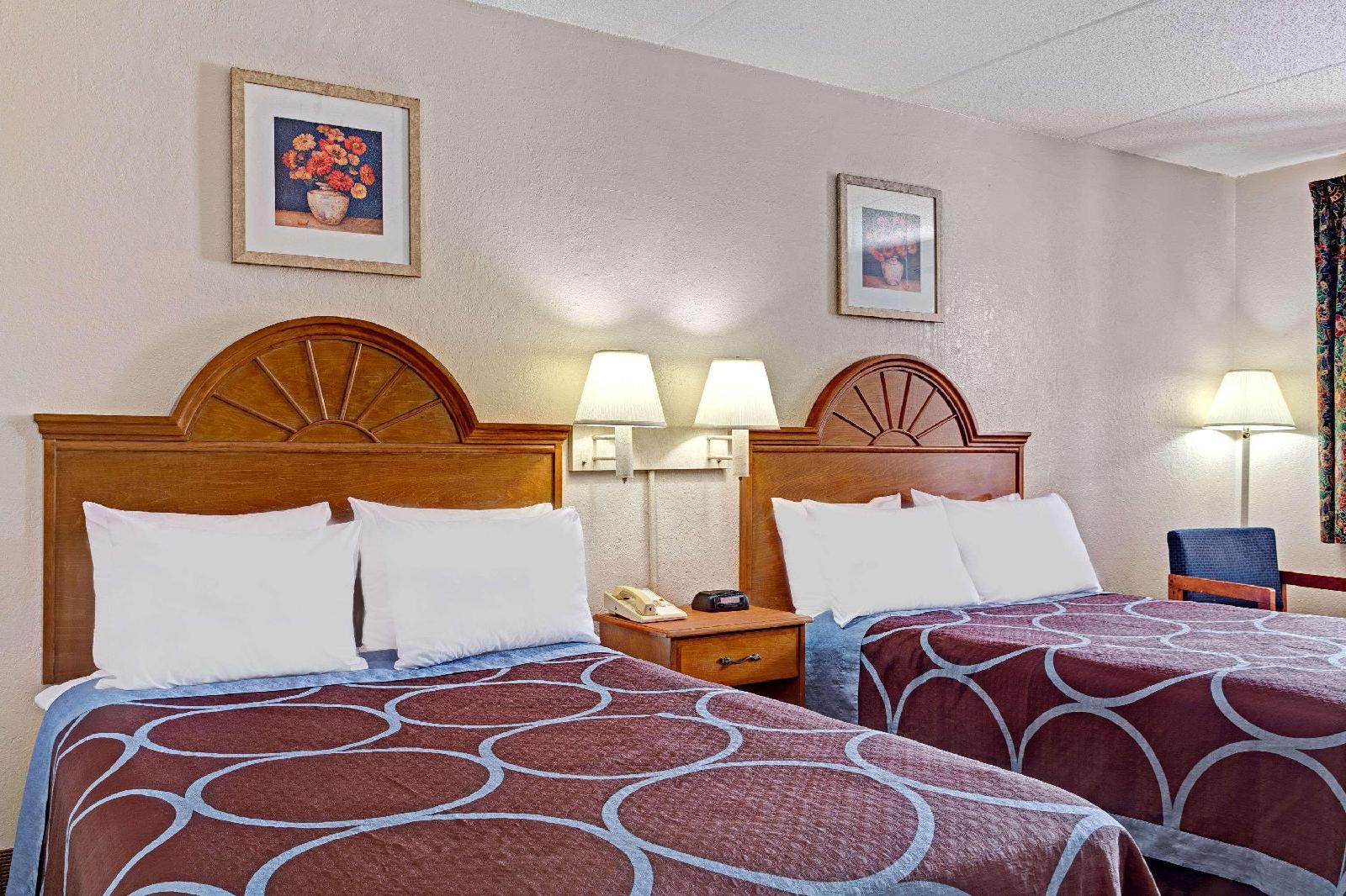 Super 8 Tampa U.S.F. Near Busch Gardens Downtown - photo 6