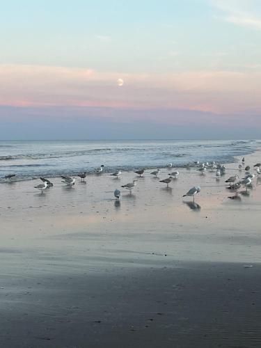 Golden Sands Mablethorpe 8 Birth Caravan in Mablethorpe, United Kingdom