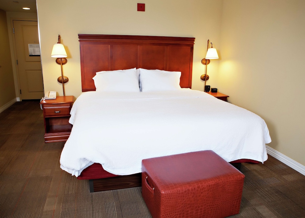 Hampton Inn Martin - photo 5