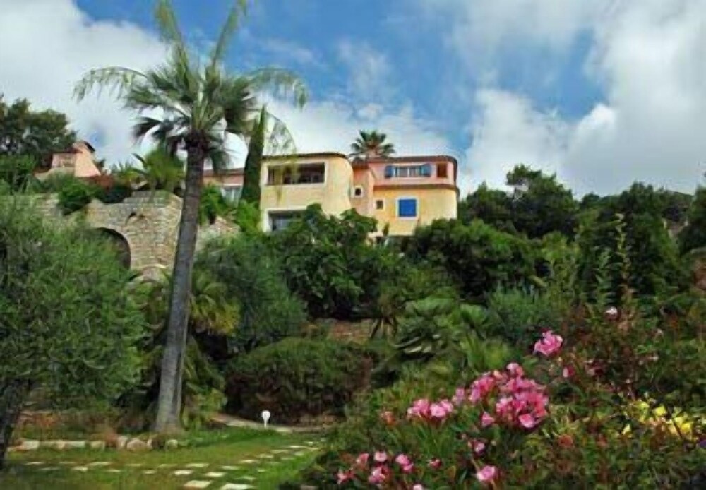 Coste D Or — Grasse