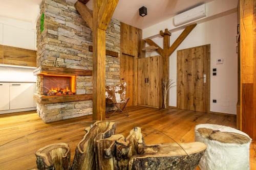 Javor apartmán na Šumavě — Zelezna Ruda — photo 3