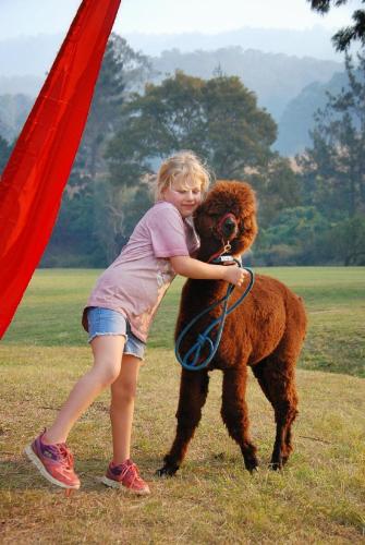 Canungra Valley Cottage — 4-Star Luxury Hotel in Canungra, Australia