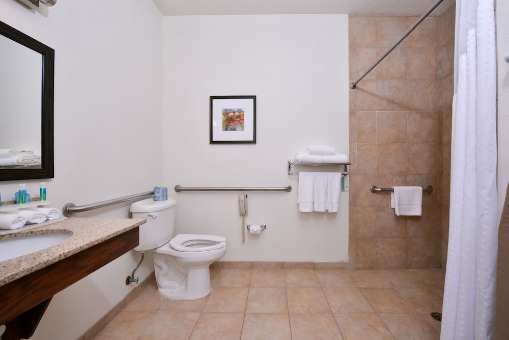 Holiday Inn Express Hotel & Suites Lancaster Lititz an IHG Hotel - photo 5