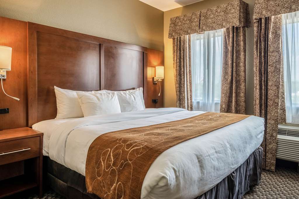 Comfort Suites Near Texas State University - photo 13