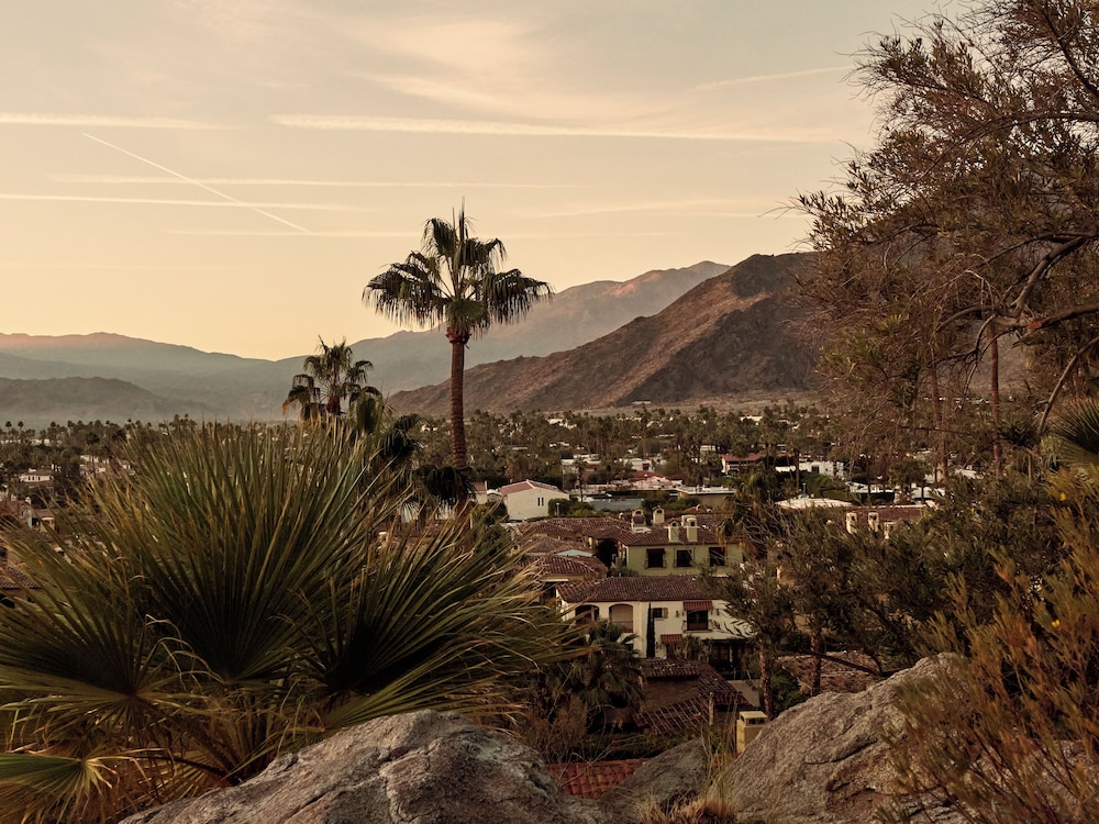 The Willows Palm Springs - photo 107