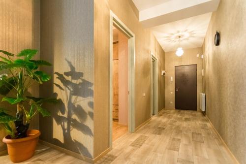 The Urban Retreat