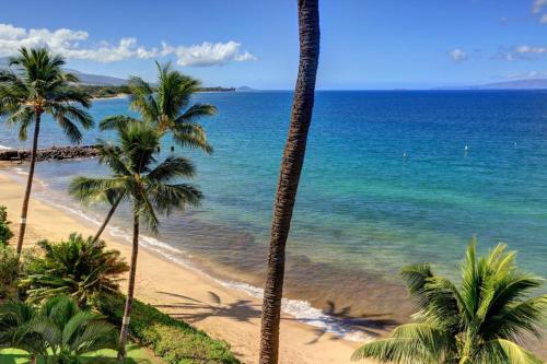 Kihei Beach Resort Kihei - photo 16