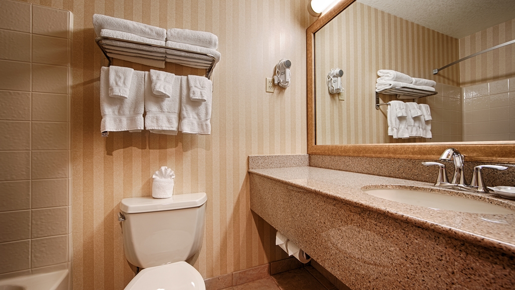 Best Western Plus Landmark Inn - photo 40