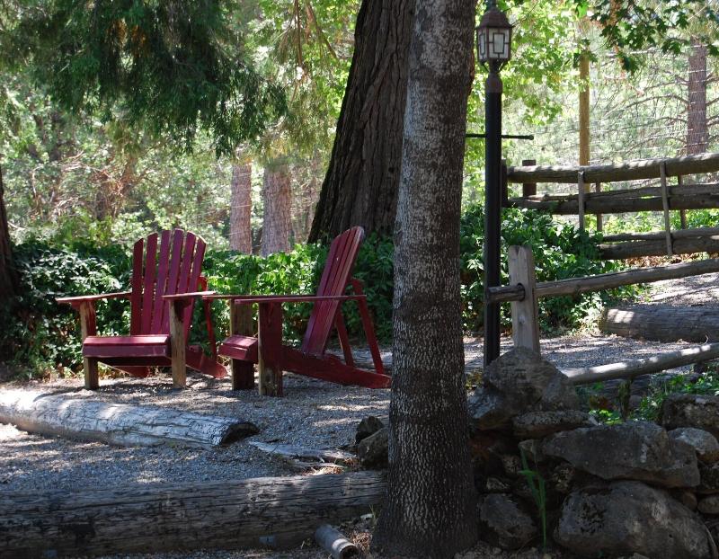 The Davies Family Inn - photo 80