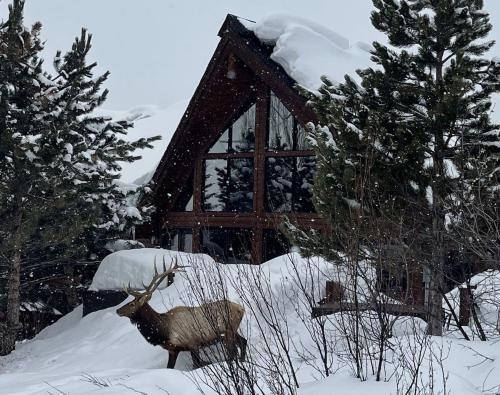 Moose Meadows Lodge Huge Views Great Room Game Room Theater — 4-Star Luxury Hotel in Steamboat Springs, United States