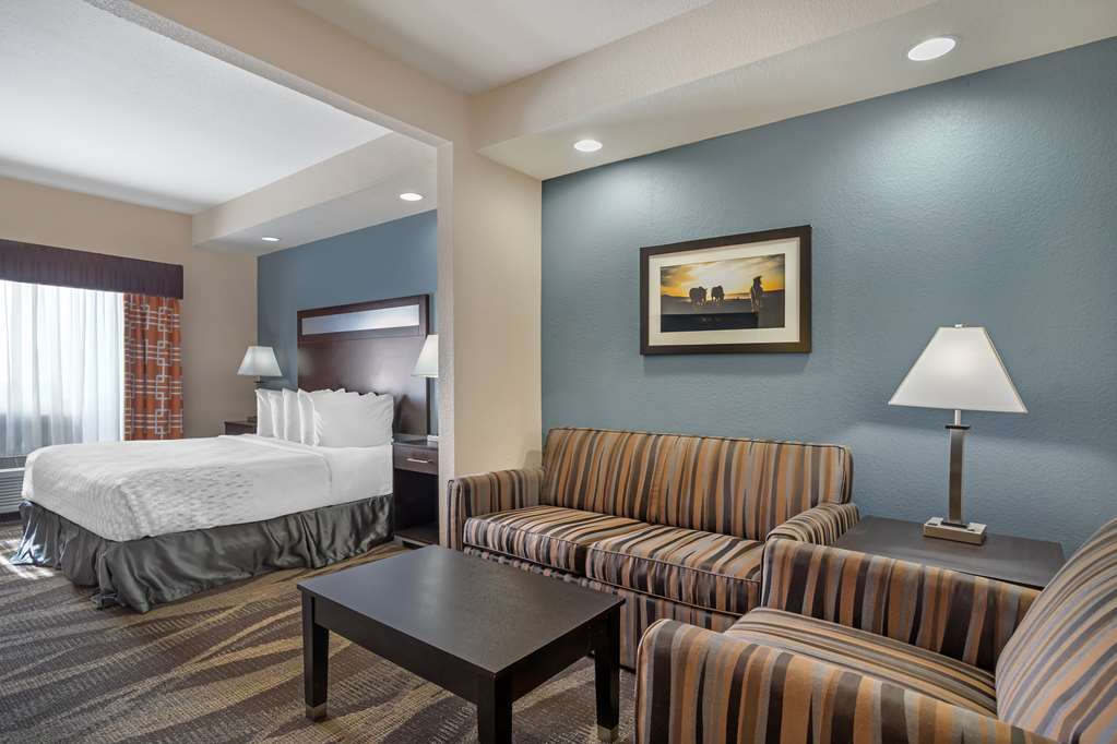 Best Western Plus Lake Jackson Inn & Suites - photo 20