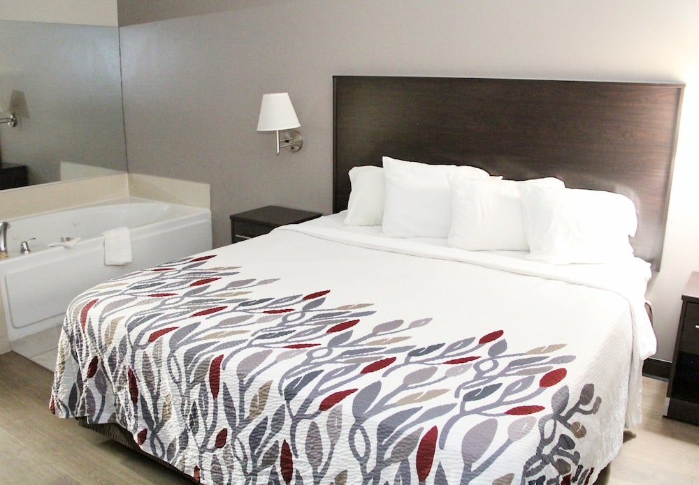 Red Roof Inn & Suites Lake Orion Auburn Hills - photo 4