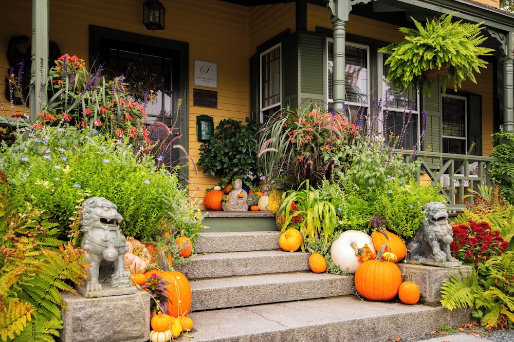 Sand Bar Cottage Inn - photo 99