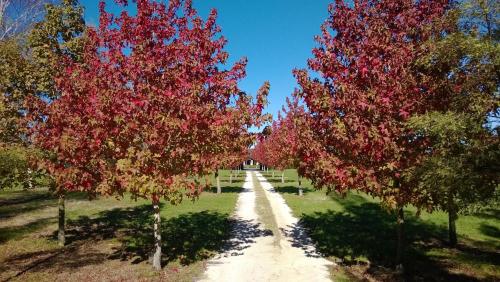 Korbaylen Estate — 4-Star Luxury Hotel in Hamilton, New Zealand