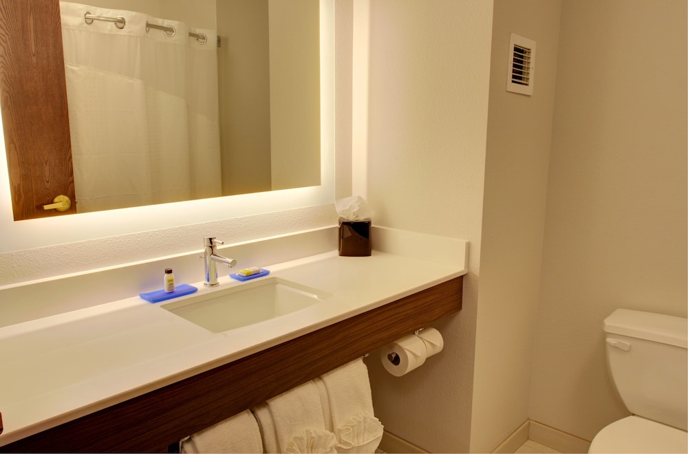 Holiday Inn Express Hotel & Suites Le Mars by IHG - photo 25