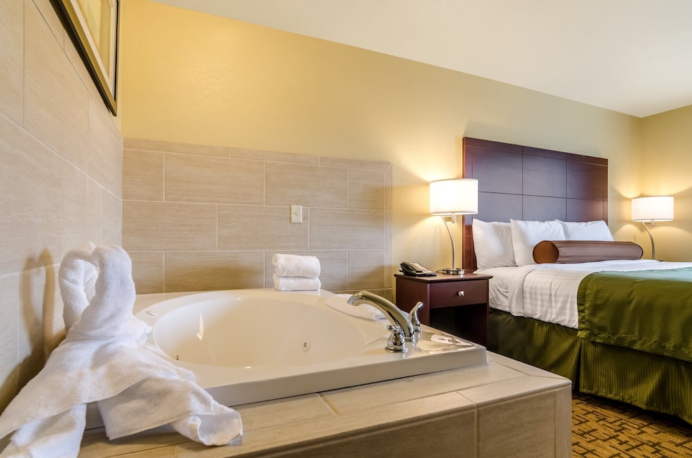 Cobblestone Inn & Suites Oberlin - photo 10