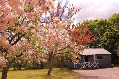 Mill Cottages - carbon neutral hotel in Howick