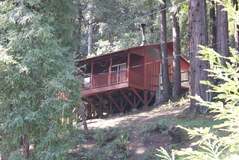 Jayes Timberlane Resort - last minute hotel in Ben Lomond