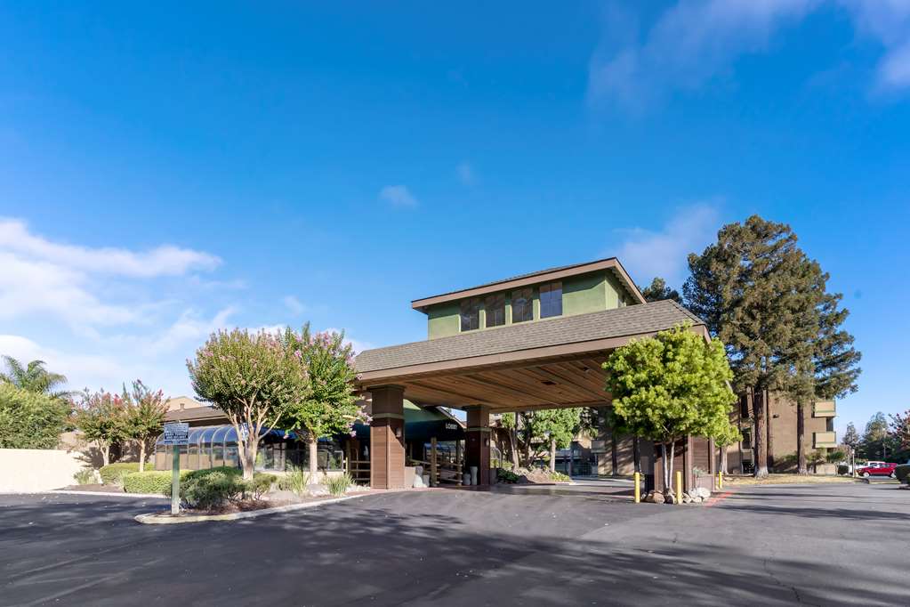 Best Western Plus Forest Park Inn - photo 15